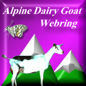 Alpine Dairy Goat Web Ring!!!!!